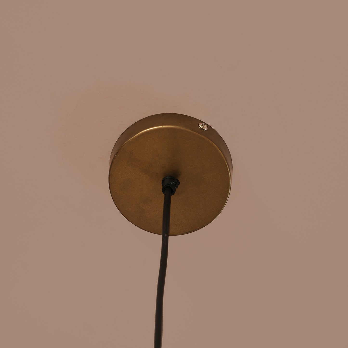 Reverie Single Hanging Lamp